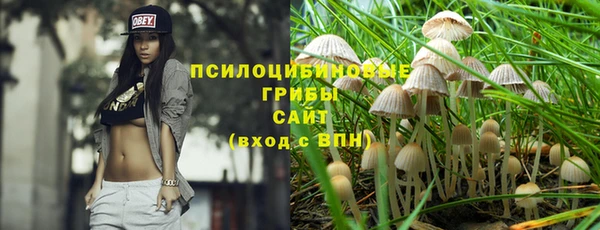 спиды Кинешма