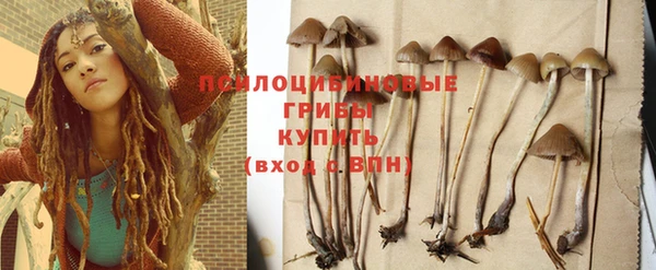 гидропоника Кодинск
