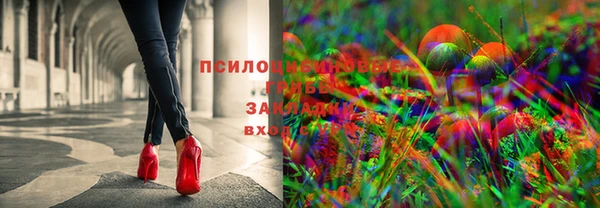 мдпв Карталы